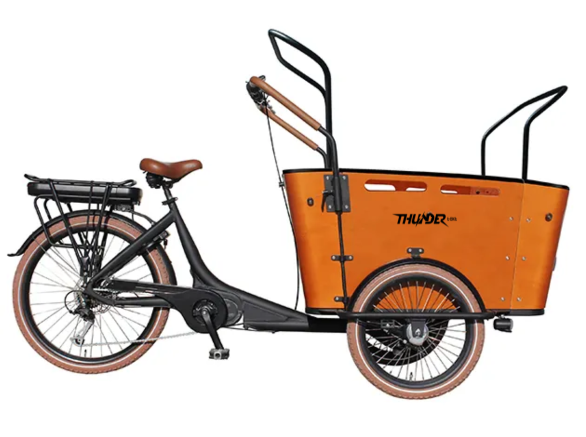 E bike cargo tricycle on sale