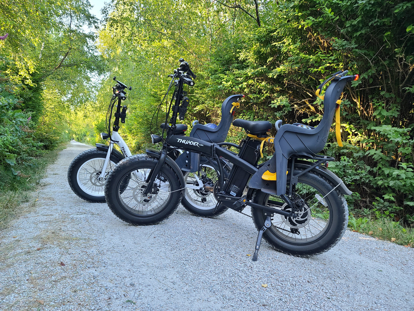 🚴‍♂️ Top 5 Places to Ride an E-Bike Around Richmond