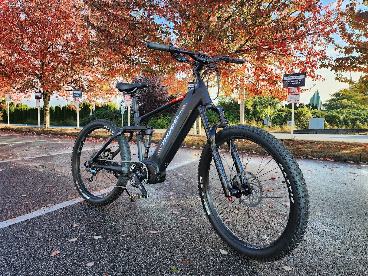 Common Questions About Electric Bikes Answered