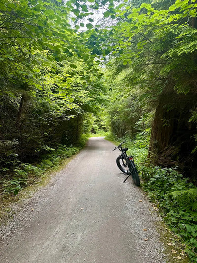 Top 5 Thunder E-Bikes for Exploring Metro Vancouver (2025 Edition)
