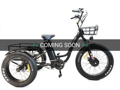 Thunder Tricycle Fat tires E-bike