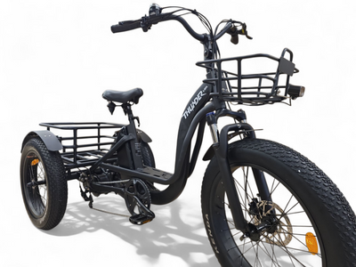 Thunder eTrike R500