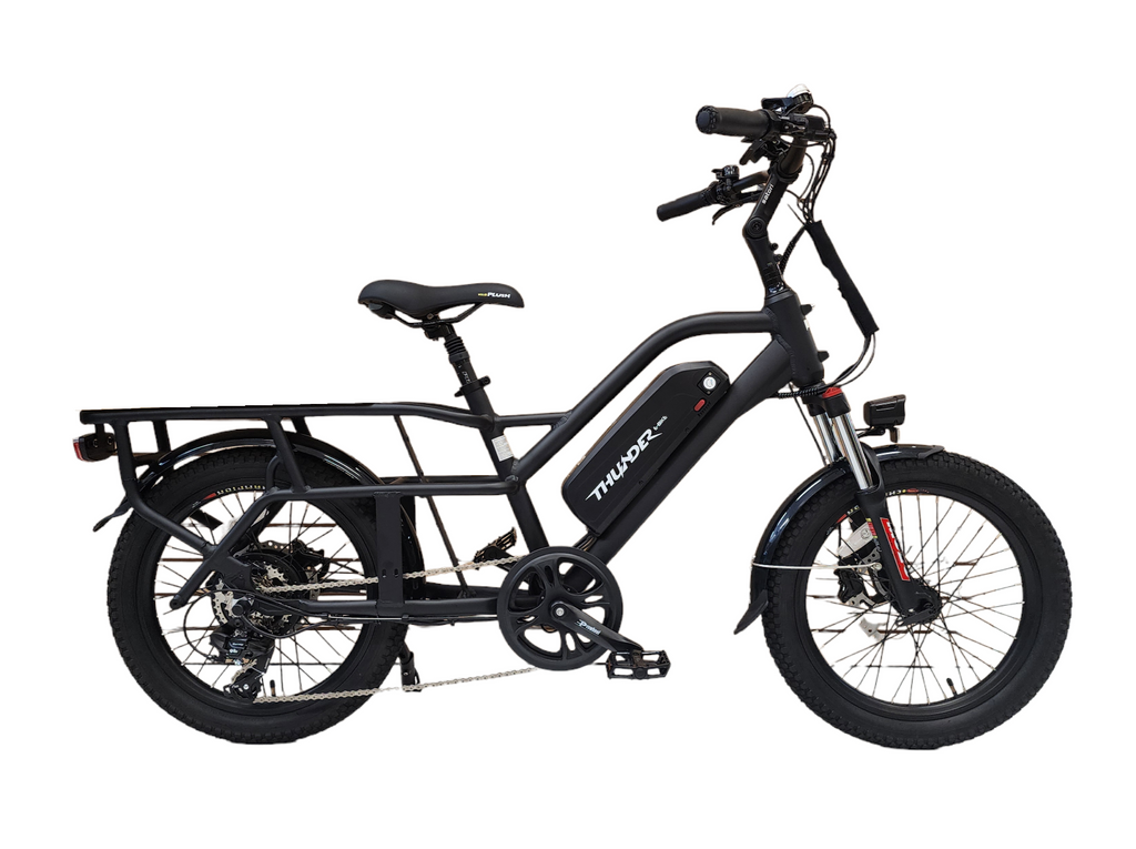 CARGO RX RICHMOND E BIKE