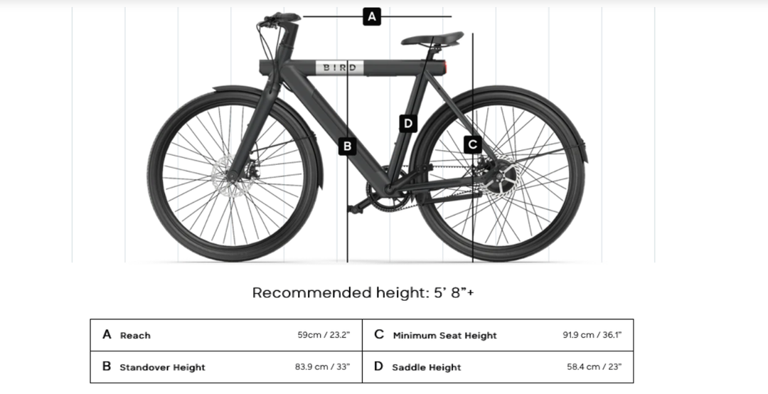 Bird A Frame Commuter Bike RICHMOND E BIKE
