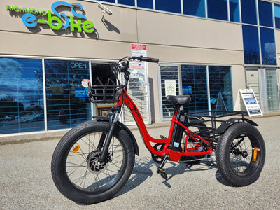 Thunder Tricycle Fat tires E-bike
