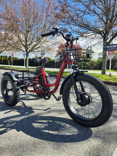 Thunder Tricycle Fat tires E-bike