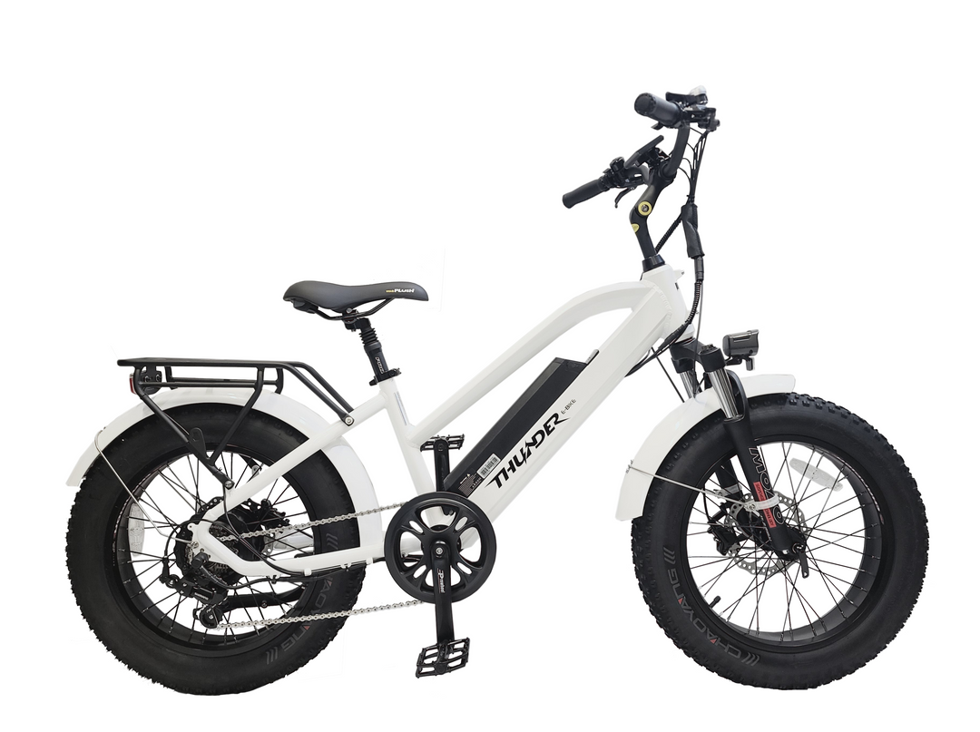 Thunder Leisure F-500 E-Bike Comfortable Step-Through Electric